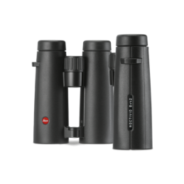 NOCTIVID 8x42, noir