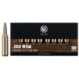 RWS .300 WSM Evolution 11.9g / 184gr - Boîte de 20