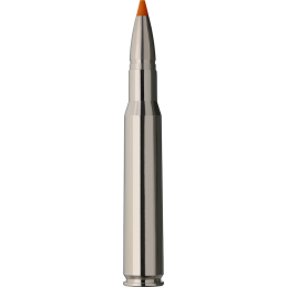 RWS .30-06 HIT Short Rifle 10,7 g / 165 gr - Boite de 20 cps