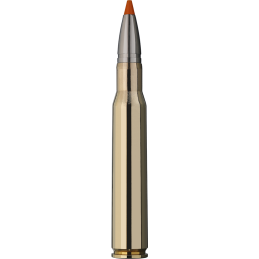 RWS cal. 30-06 Hit 10.7gr / 165gr - Boite de 20 cps