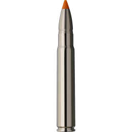 RWS cal.9.3x62 Hit Short Rifle 16.2g / 250g - Boite de 20 cps