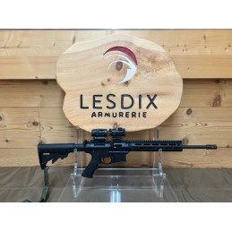OCC- Carabine Semi-Auto Smith & Wesson MP 15-22 22 LR + Optiques