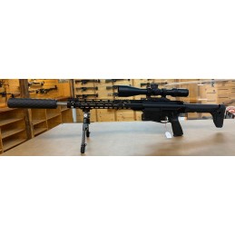 PSA Ar-10 Custom .308 Abzug, Spannhebel + FBT Reptilia Spartan Vortex-Kit